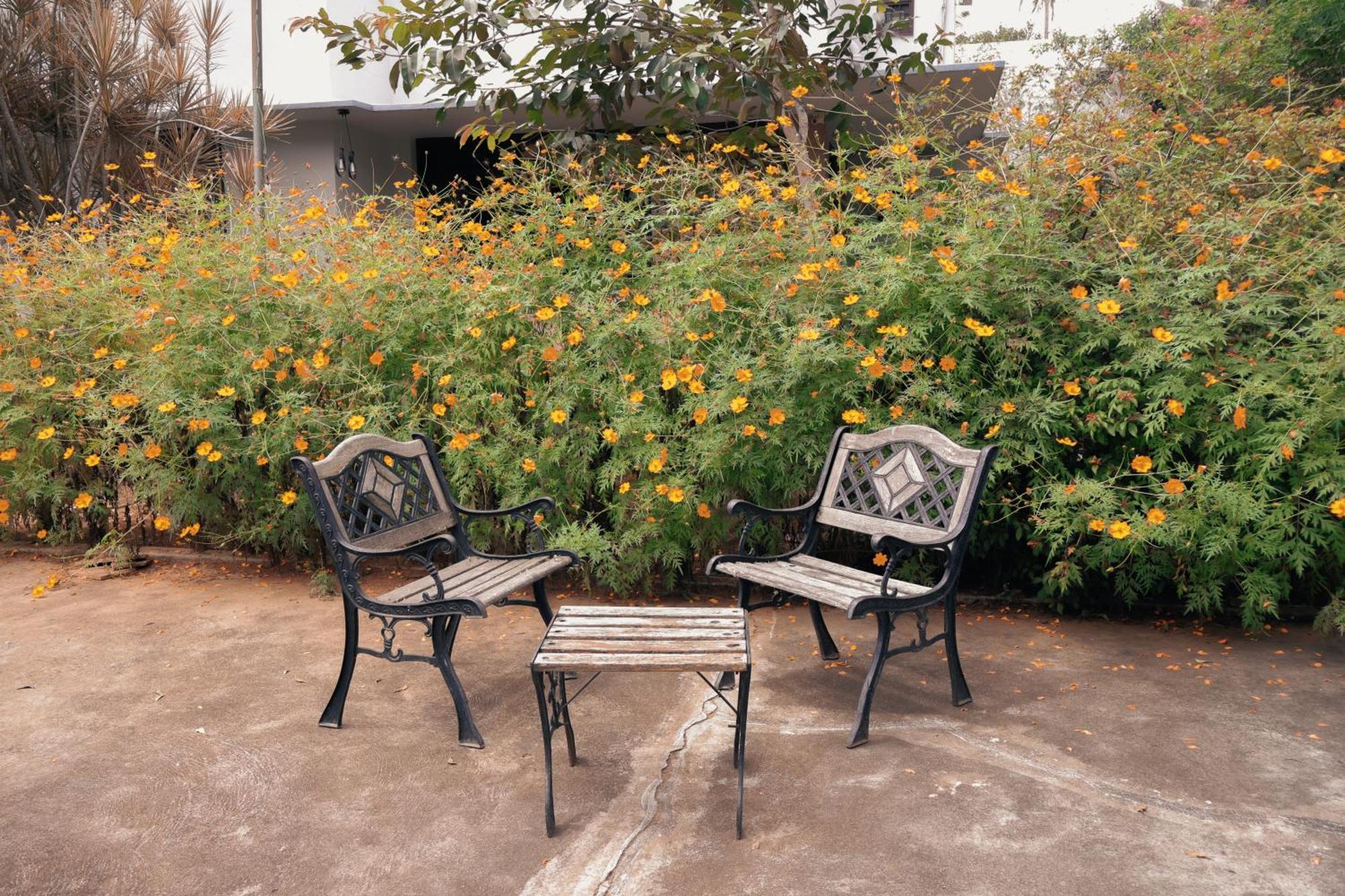 Hostel Stories Mysuru Zewnętrze zdjęcie